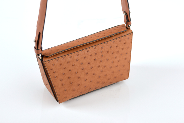 Lottie - Image 2